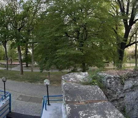 La Serra Olivetti *